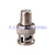 BNC-Cinch-Adapter Cinch-Buchse auf BNC-Stecker für Videokamera-Anschlussadapter