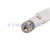5dBi 2.3-2.7GHz Omni WIFI Antenna tilt-and-swivel SMA plug for wireless router