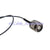 Superbat IPX /u.fl to RP-TNC male jack pigtail cable 1.13mm 15cm long for WIFI mini PCI