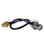 Superbat F-Type female to SMA female bulkhead RF pigtail Cable RG174 for wifi antenna